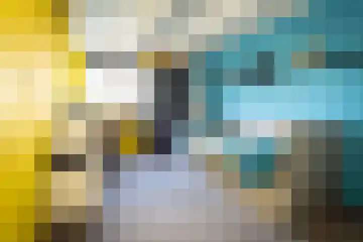 De Vang 43 Oudeschild thumbnail 14