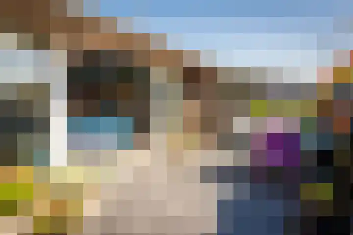 De Vang 43 Oudeschild thumbnail 24