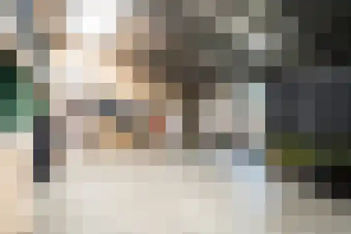 De Vang 43 Oudeschild thumbnail 26