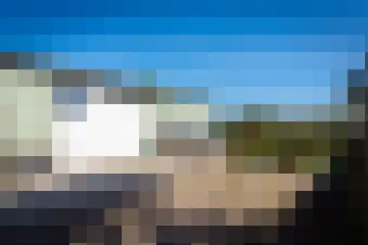 De Vang 43 Oudeschild thumbnail 4