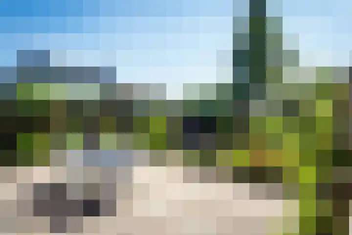De Vang 43 Oudeschild thumbnail 5