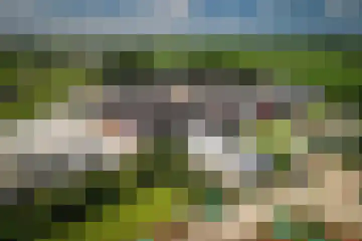 De Vang 43 Oudeschild thumbnail 6