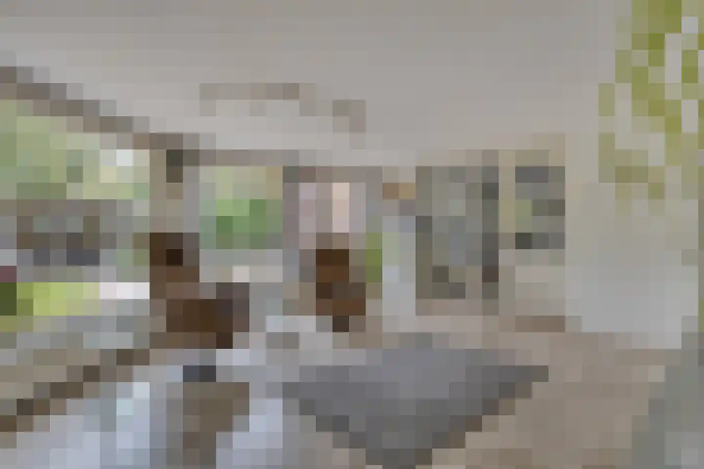 De Vang 47 Hoorn thumbnail 14