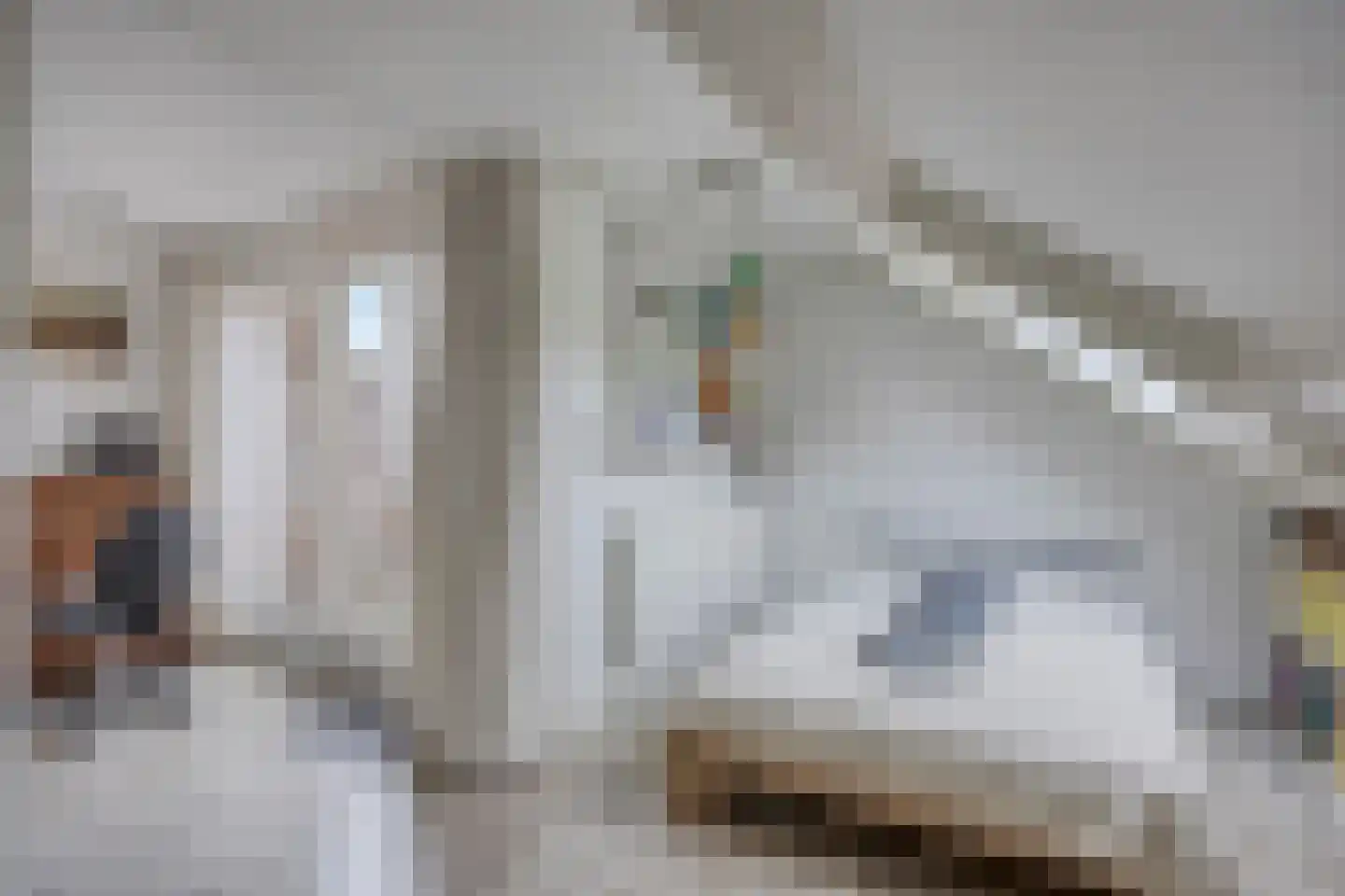 De Vang 47 Hoorn thumbnail 40