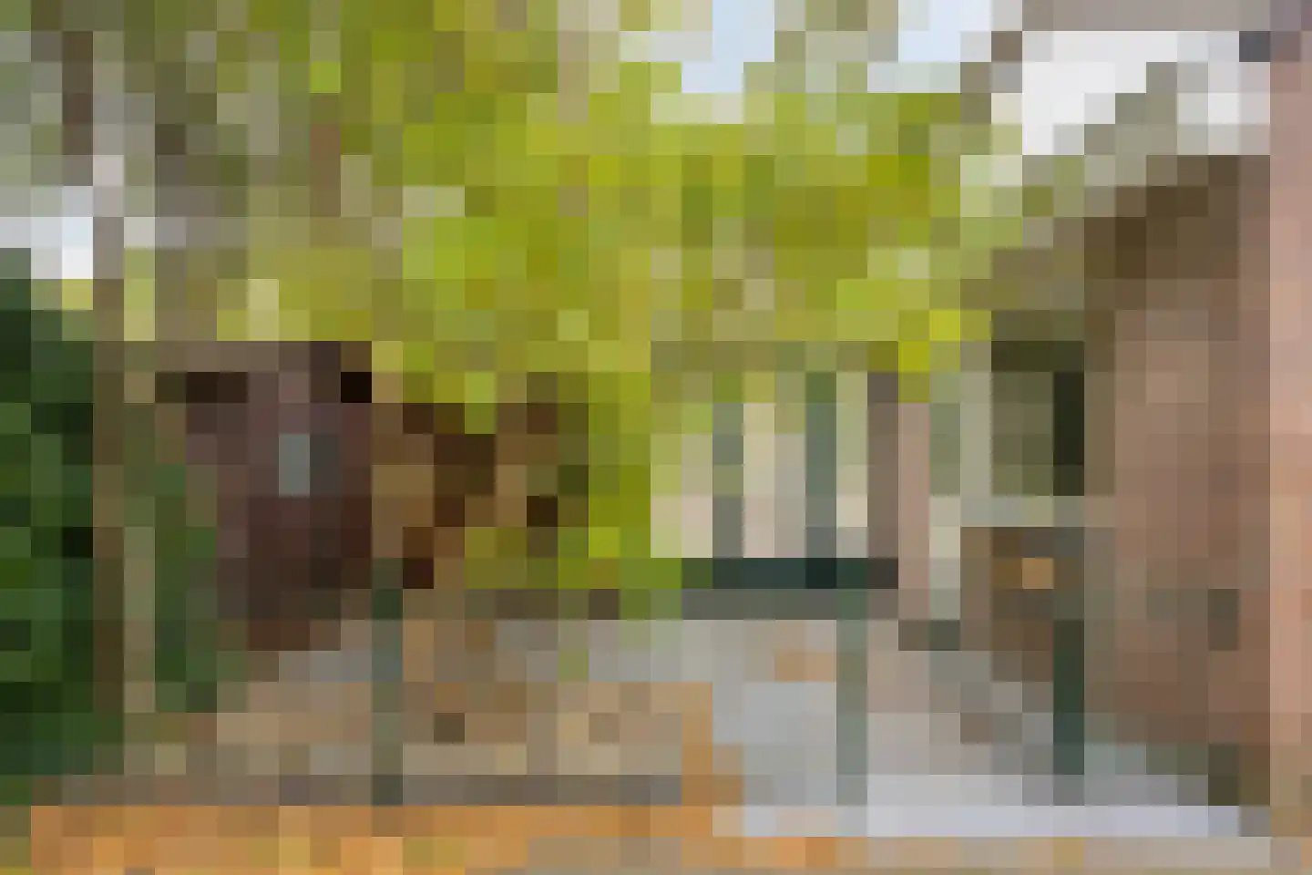 De Vang 47 Hoorn thumbnail 55