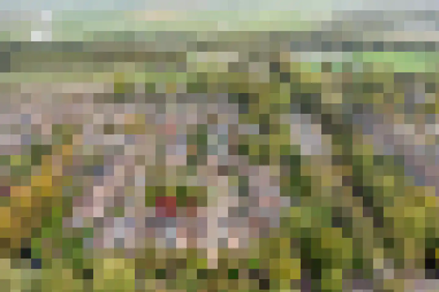 De Vang 47 Hoorn thumbnail 68