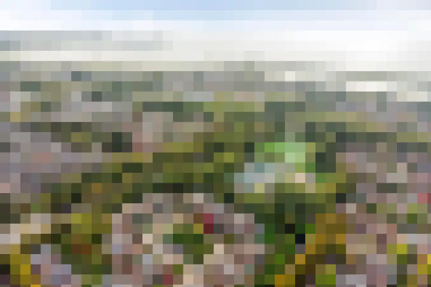De Vang 47 Hoorn thumbnail 7
