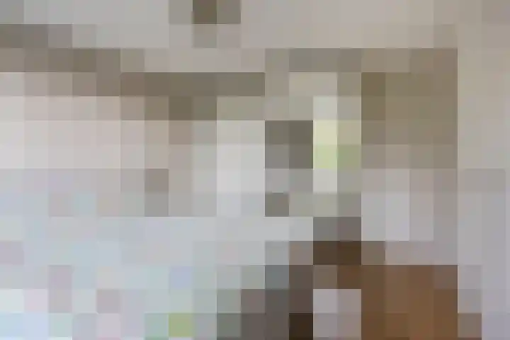 de Vang 5 Oirschot thumbnail 18