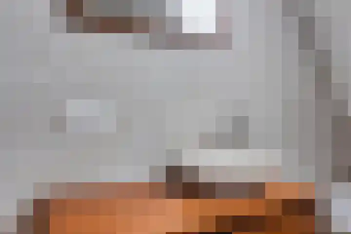 de Vang 5 Oirschot thumbnail 22