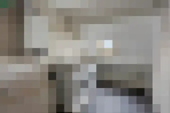 de Vang 5 Oirschot thumbnail 25