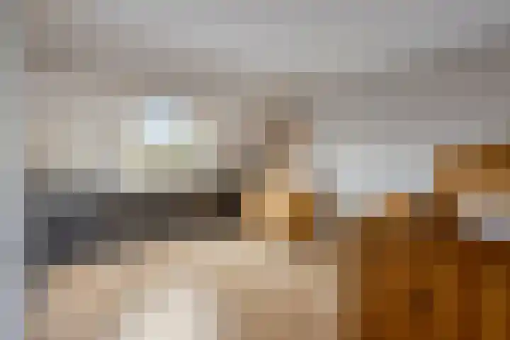 de Vang 5 Oirschot thumbnail 26