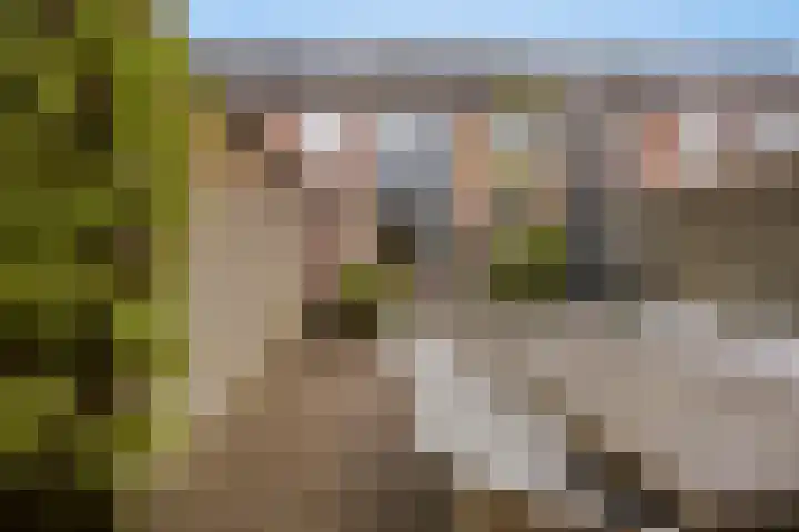 de Vang 5 Oirschot thumbnail 28