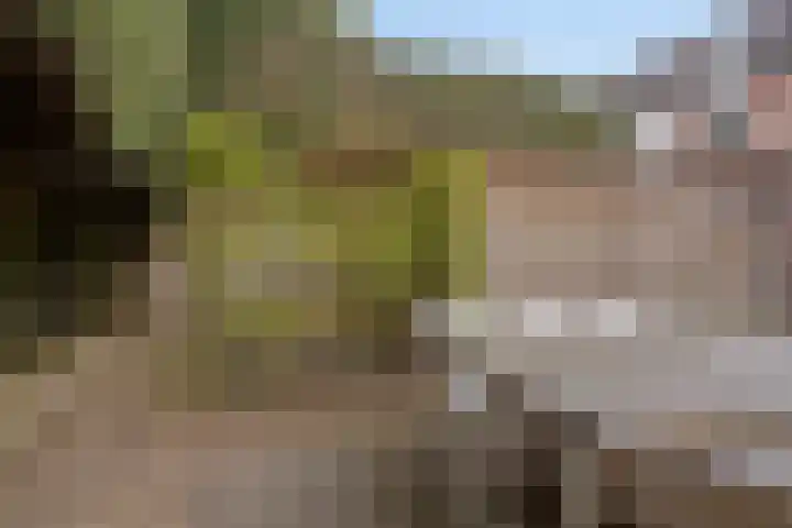 de Vang 5 Oirschot thumbnail 31