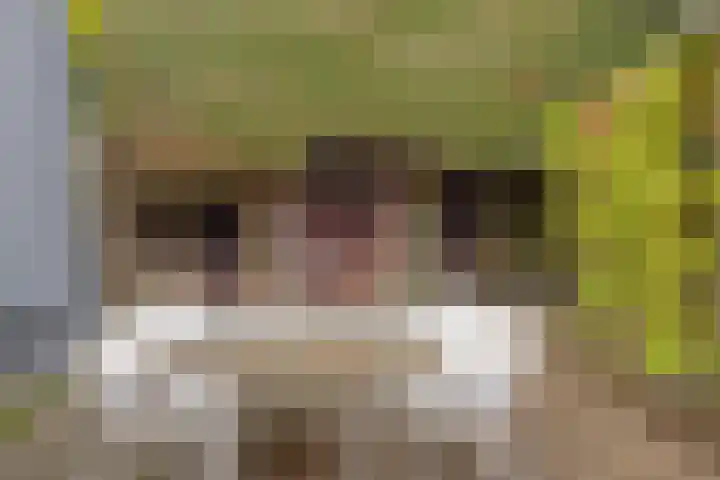 de Vang 5 Oirschot thumbnail 32