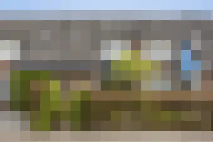 de Vang 5 Oirschot thumbnail 33