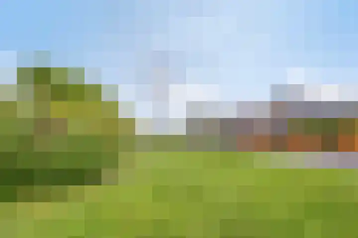 de Vang 5 Oirschot thumbnail 35
