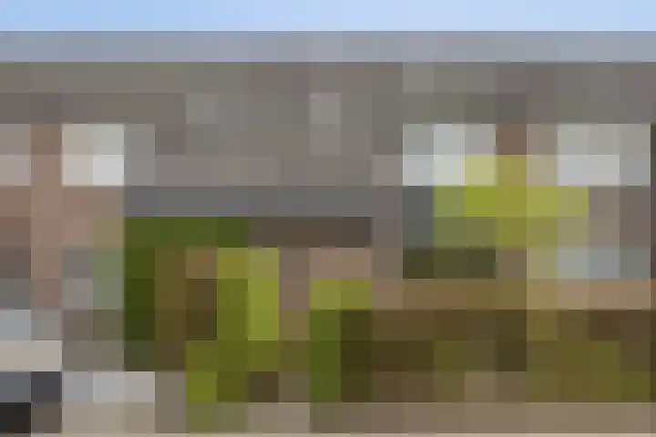 de Vang 5 Oirschot thumbnail 39