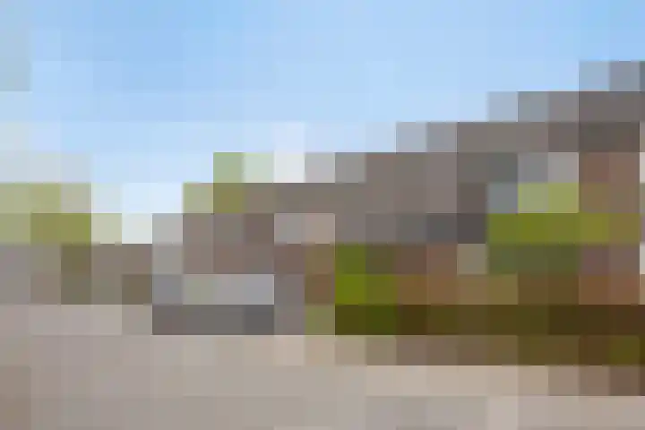 de Vang 5 Oirschot thumbnail 6