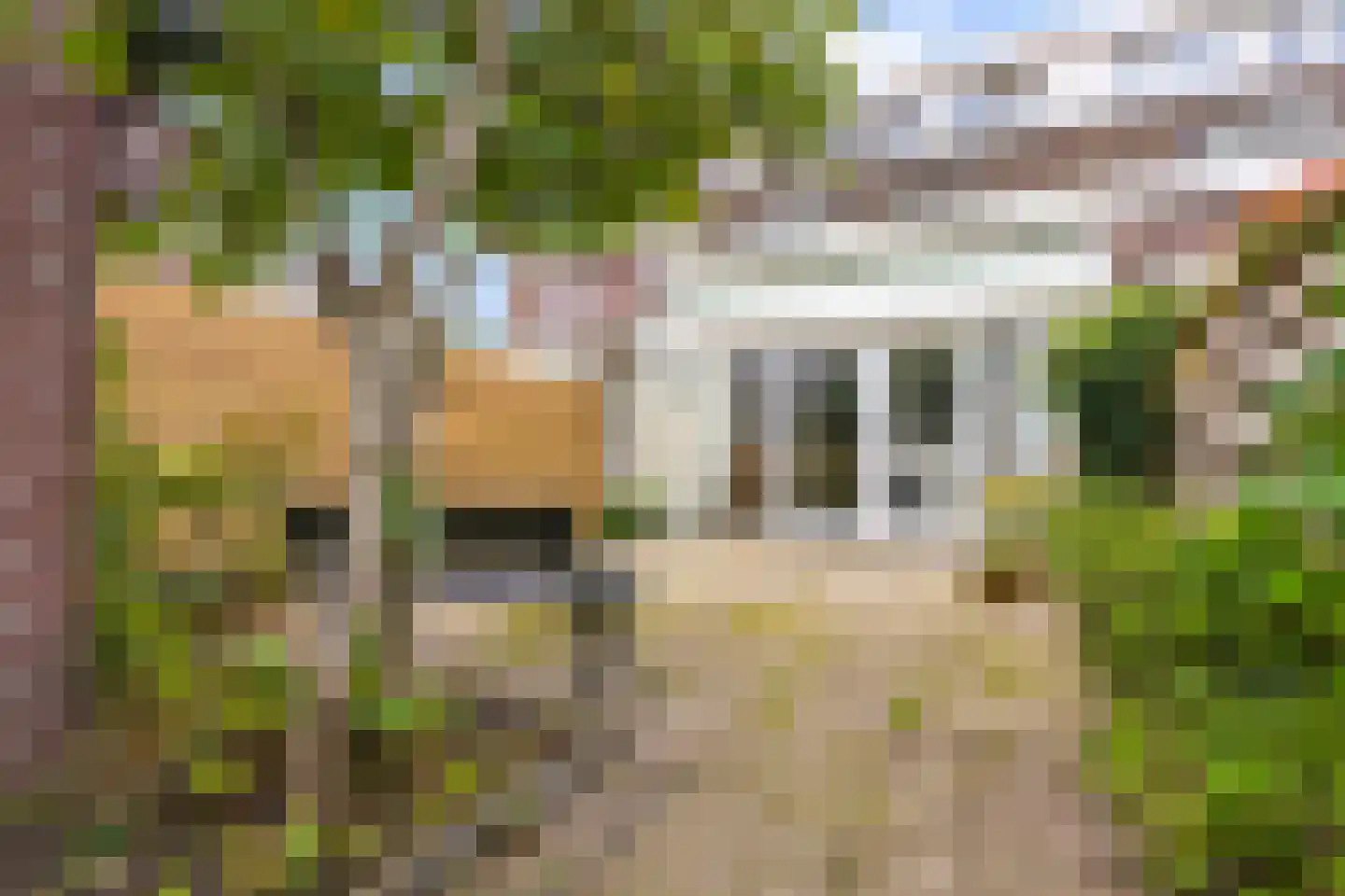 De Vang 59 Hoorn thumbnail 17