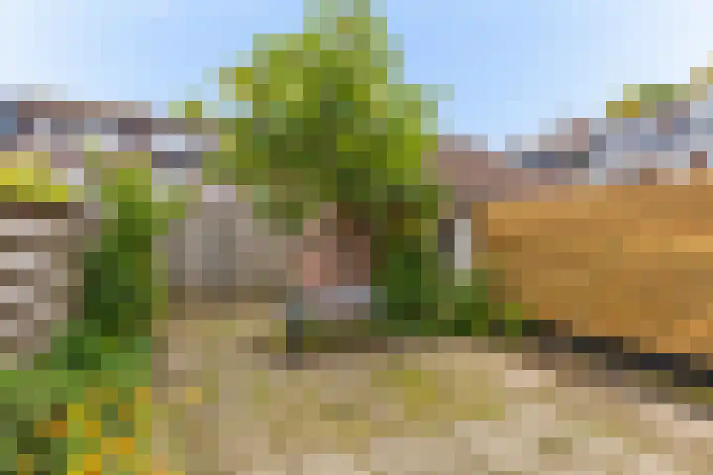 De Vang 59 Hoorn thumbnail 19
