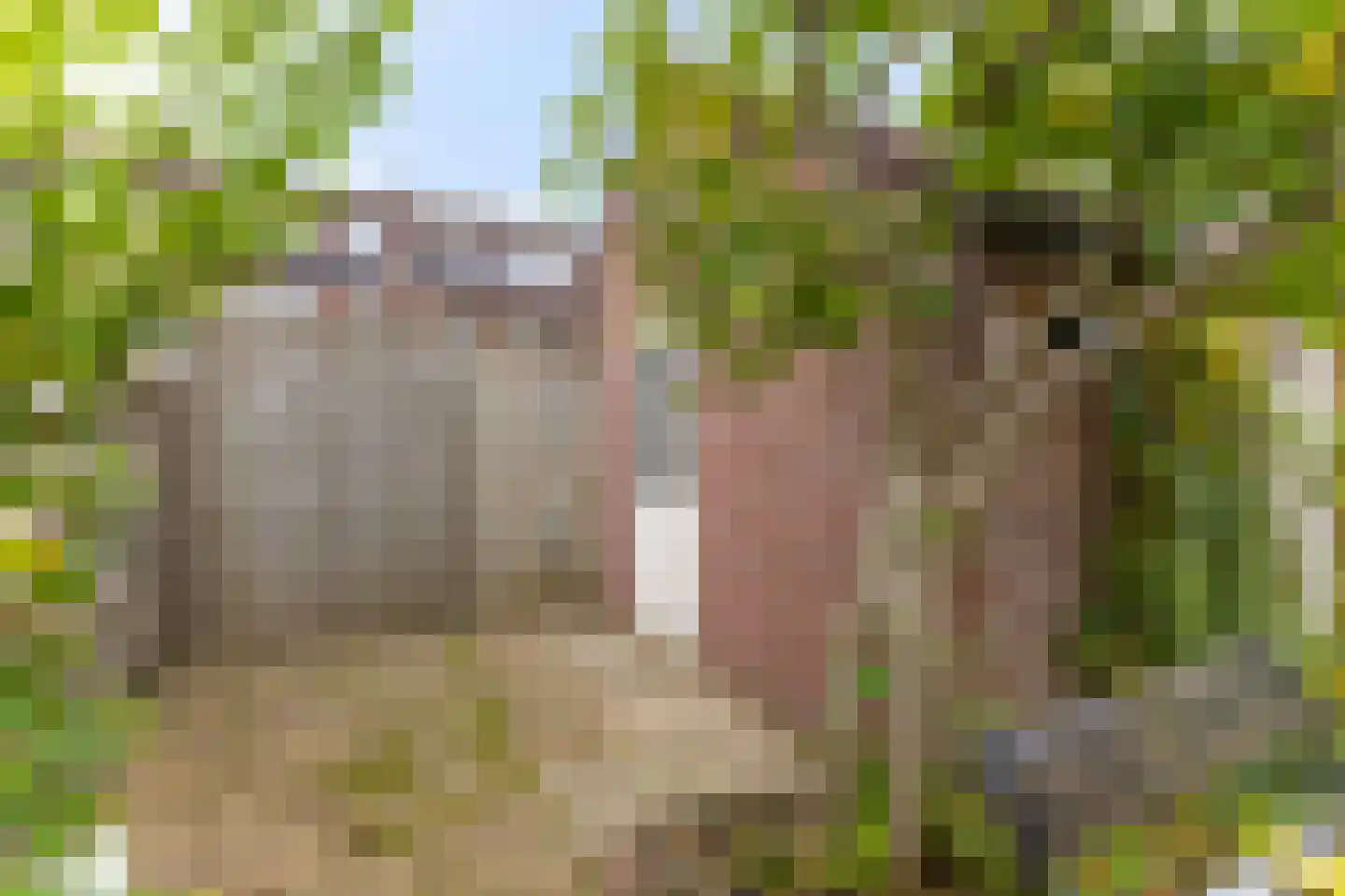 De Vang 59 Hoorn thumbnail 21