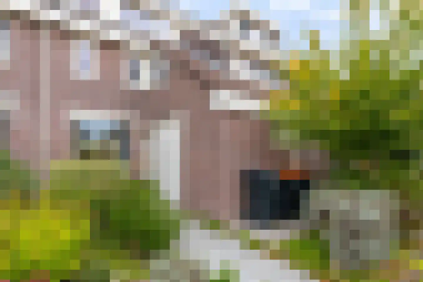 De Vang 59 Hoorn thumbnail 7