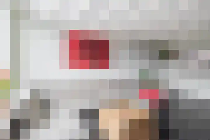 De Vang 6 Hapert thumbnail 10