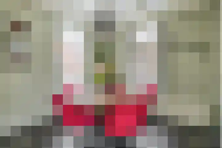De Vang 6 Hapert thumbnail 11