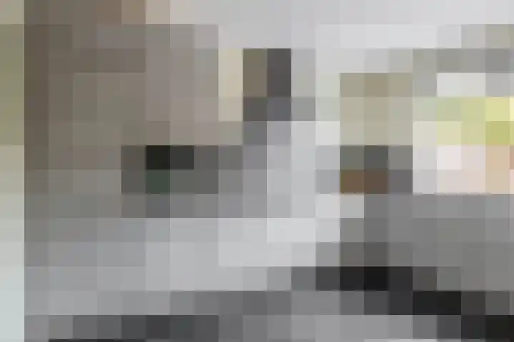 De Vang 6 Hapert thumbnail 12
