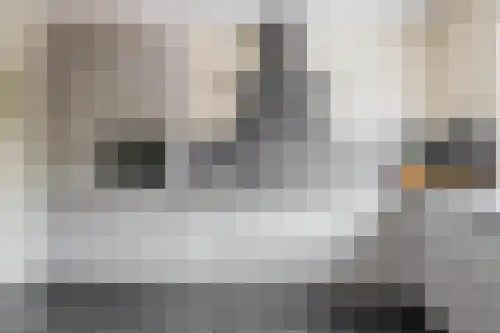 De Vang 6 Hapert thumbnail 14