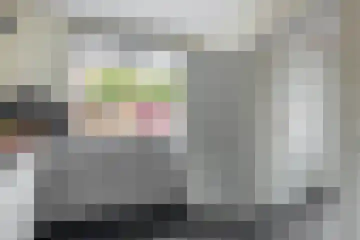De Vang 6 Hapert thumbnail 15