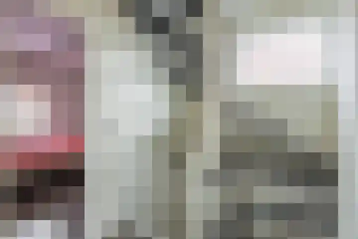 De Vang 6 Hapert thumbnail 18