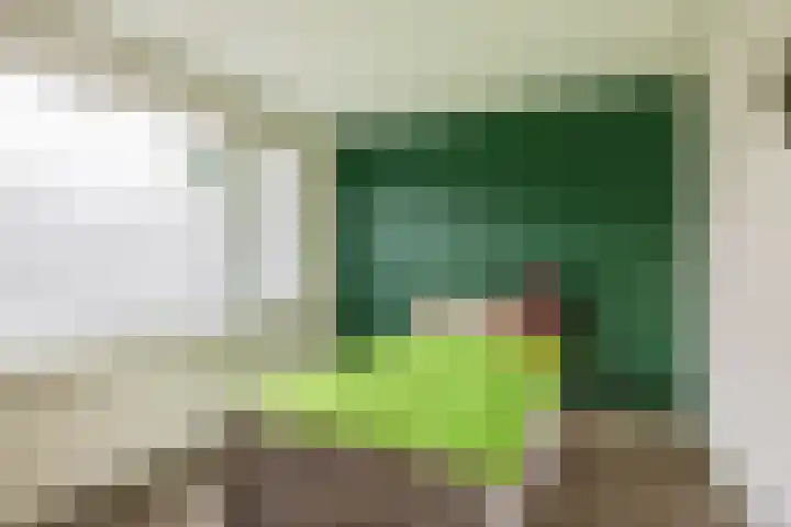 De Vang 6 Hapert thumbnail 22