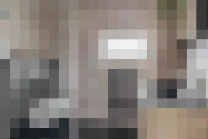 De Vang 6 Hapert thumbnail 23