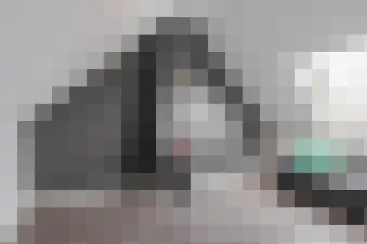 De Vang 6 Hapert thumbnail 26