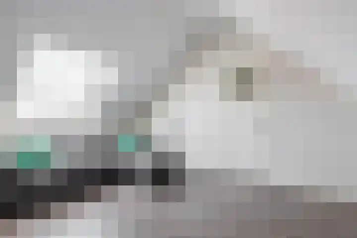 De Vang 6 Hapert thumbnail 27