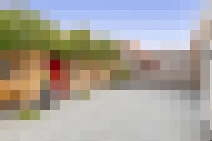 De Vang 6 Hapert thumbnail 31