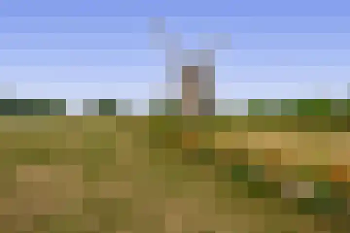 De Vang 6 Hapert thumbnail 37