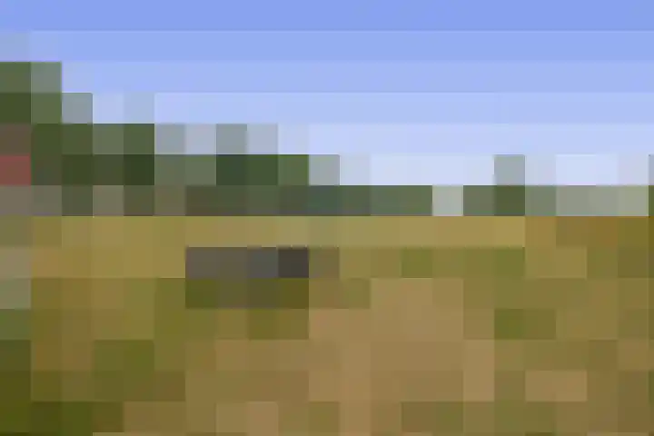 De Vang 6 Hapert thumbnail 38