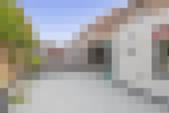 De Vang 6 Hapert thumbnail 4