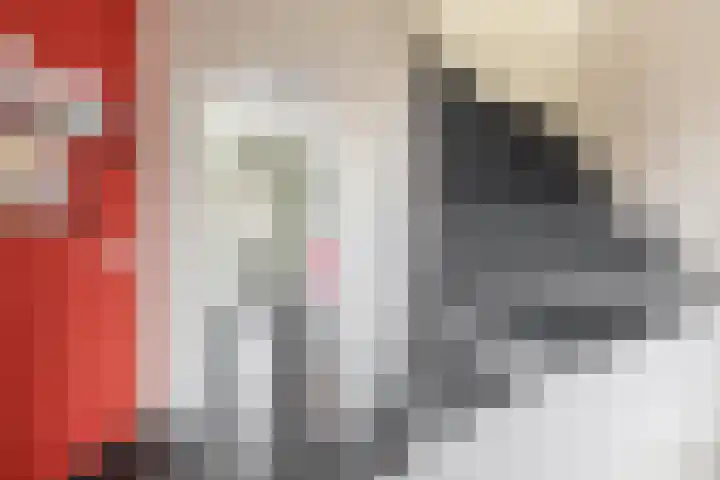 De Vang 6 Hapert thumbnail 7