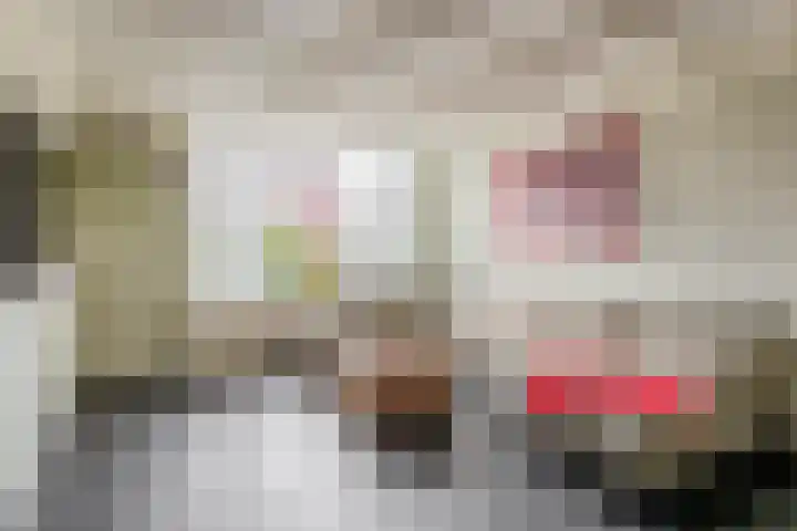 De Vang 6 Hapert thumbnail 8