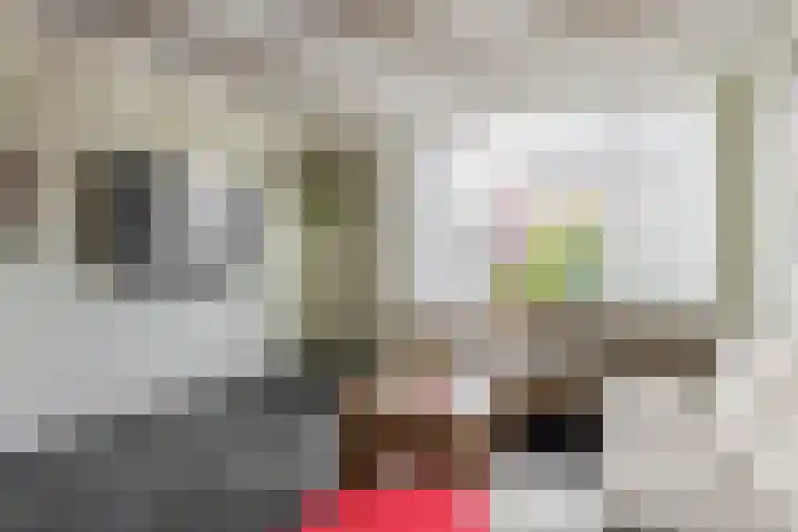 De Vang 6 Hapert thumbnail 9