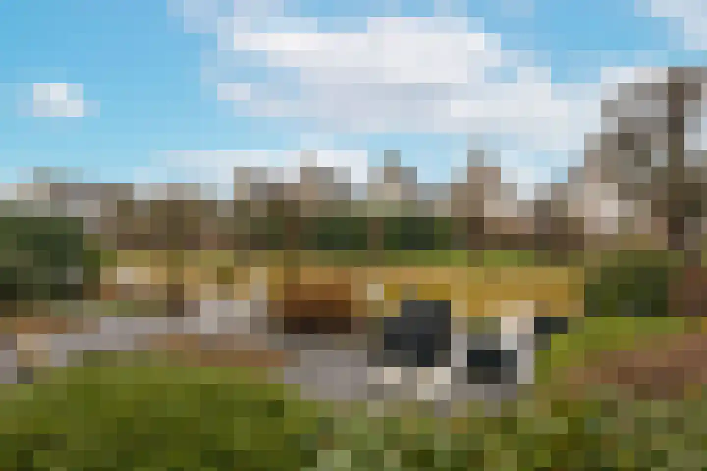 De Vang 6 Mijdrecht thumbnail 29