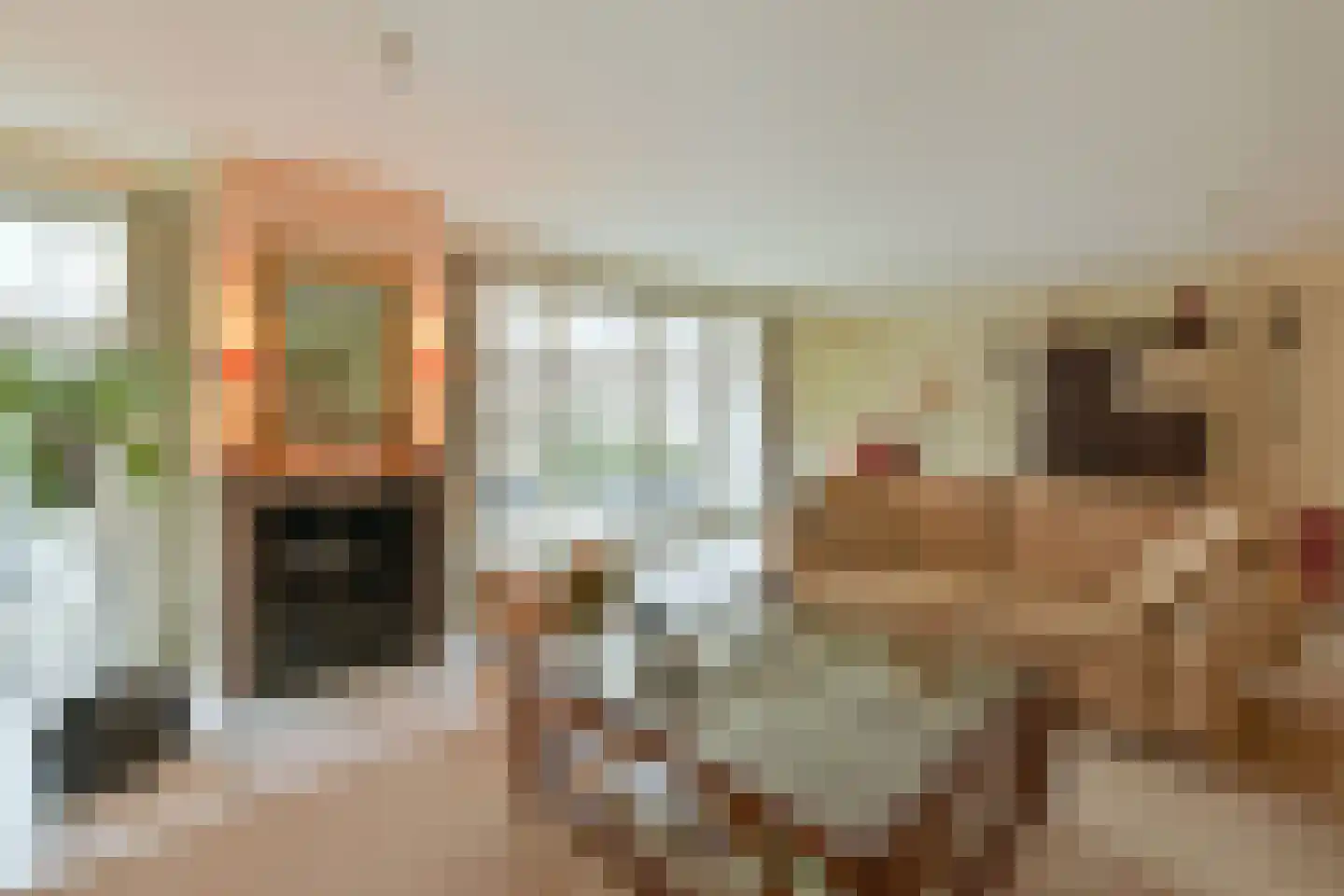 De Vang 6 Mijdrecht thumbnail 4