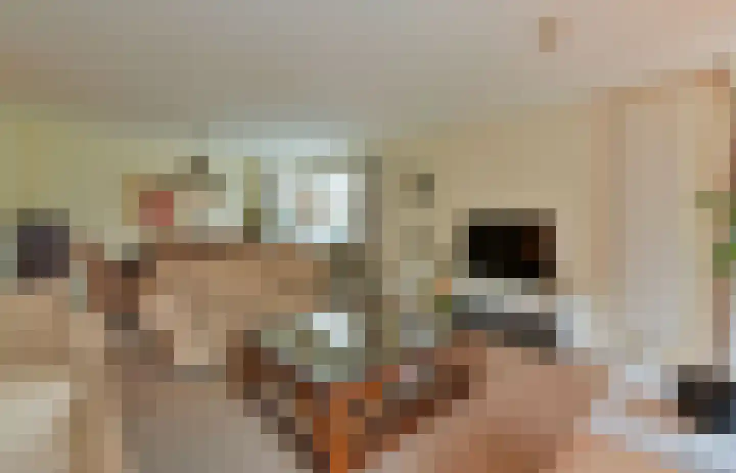 De Vang 6 Mijdrecht thumbnail 5