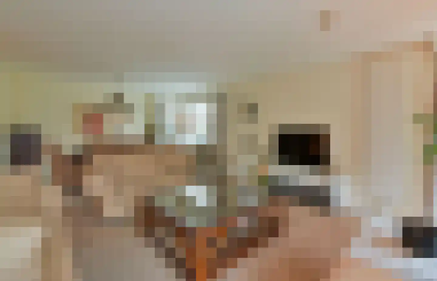De Vang 6 Mijdrecht thumbnail 5