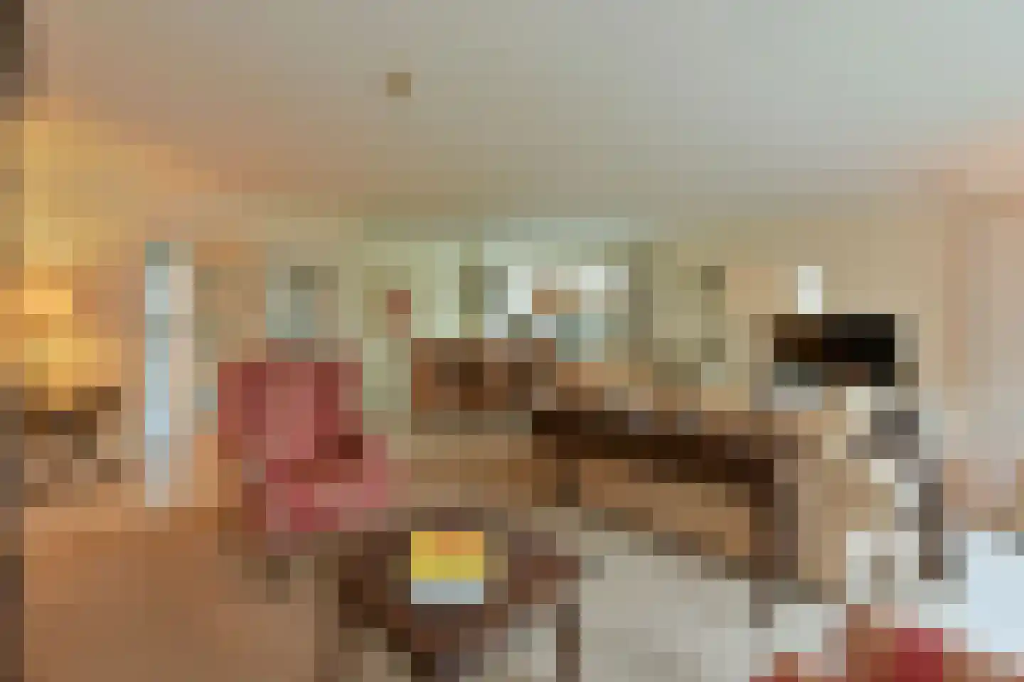 De Vang 6 Mijdrecht thumbnail 9