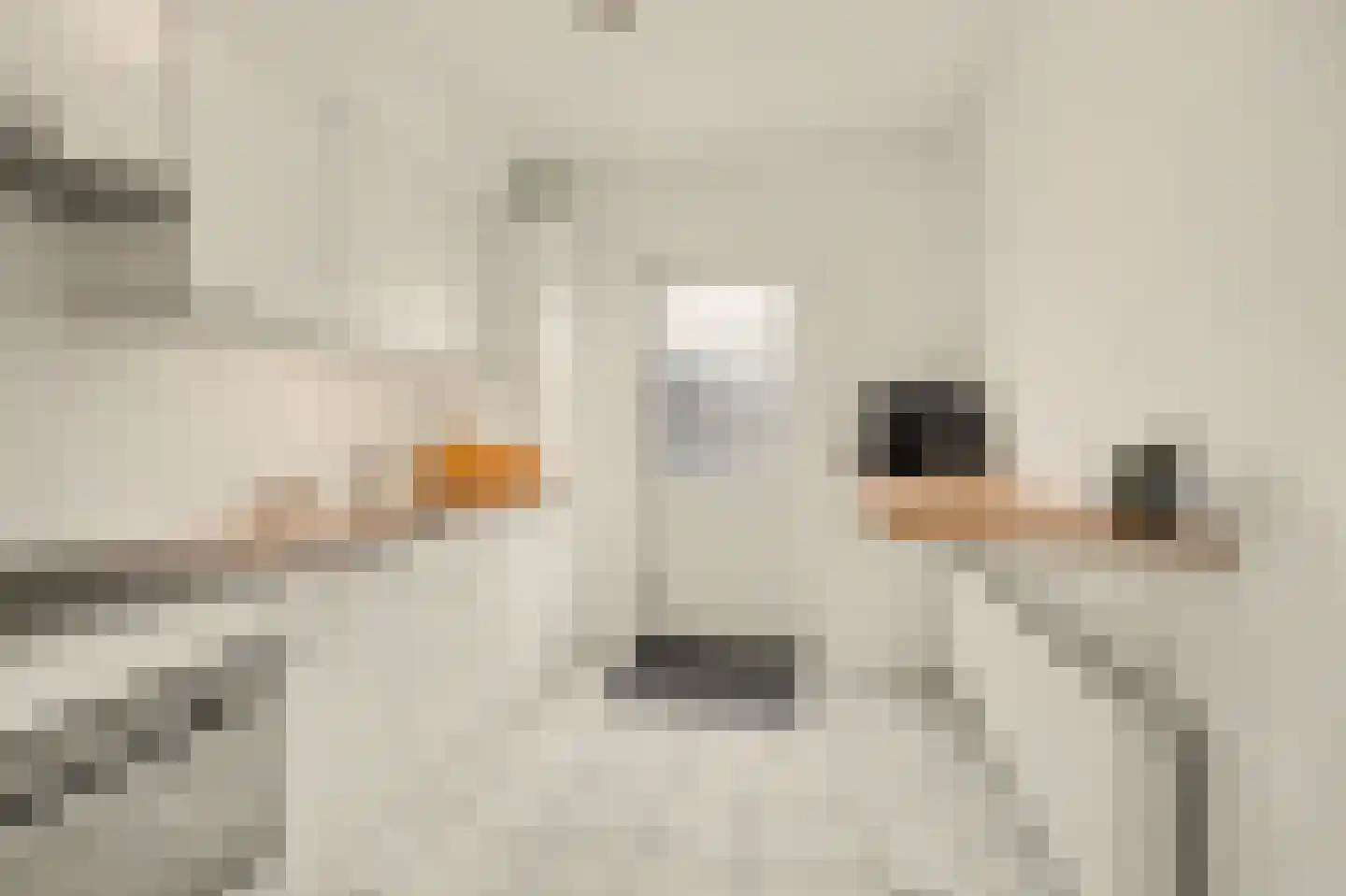 De Vang 8 Hapert thumbnail 11