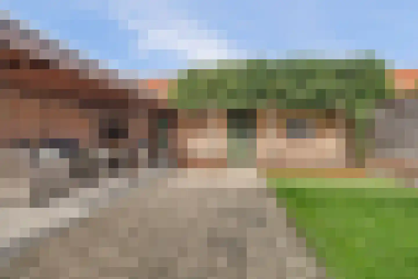 De Vang 8 Hapert thumbnail 26